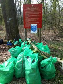 Akcja sprzątania śmieci w Lesie Dąbrowa