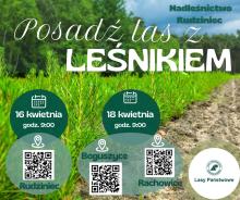 Posadź las z leśnikiem