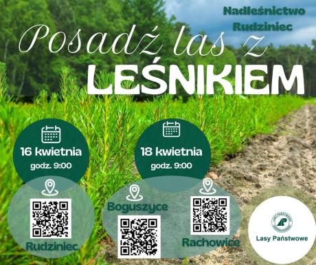 Posadź las z leśnikiem